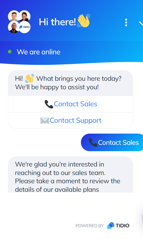 Image of live chat conversation between Tidio's chatbot an a customer