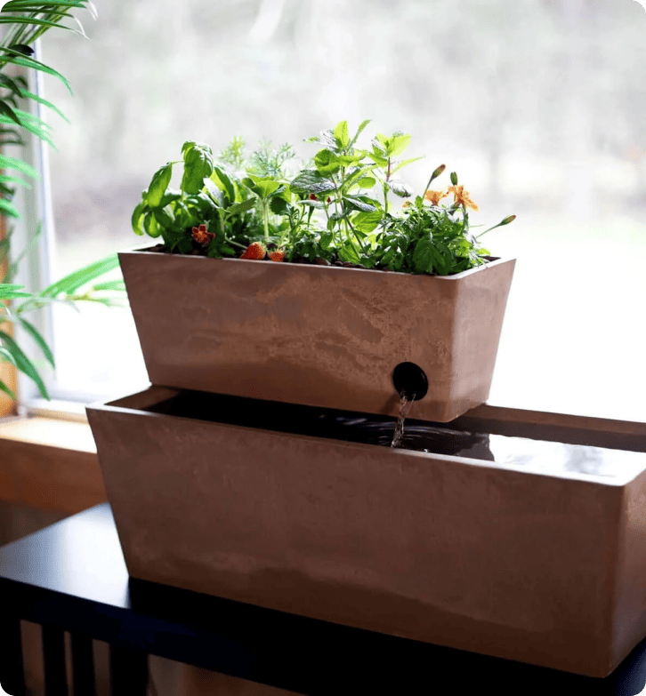 Paano nakamit ng AquaSprouts ang 96.5% customer satisfaction rate gamit ang LiveAgent