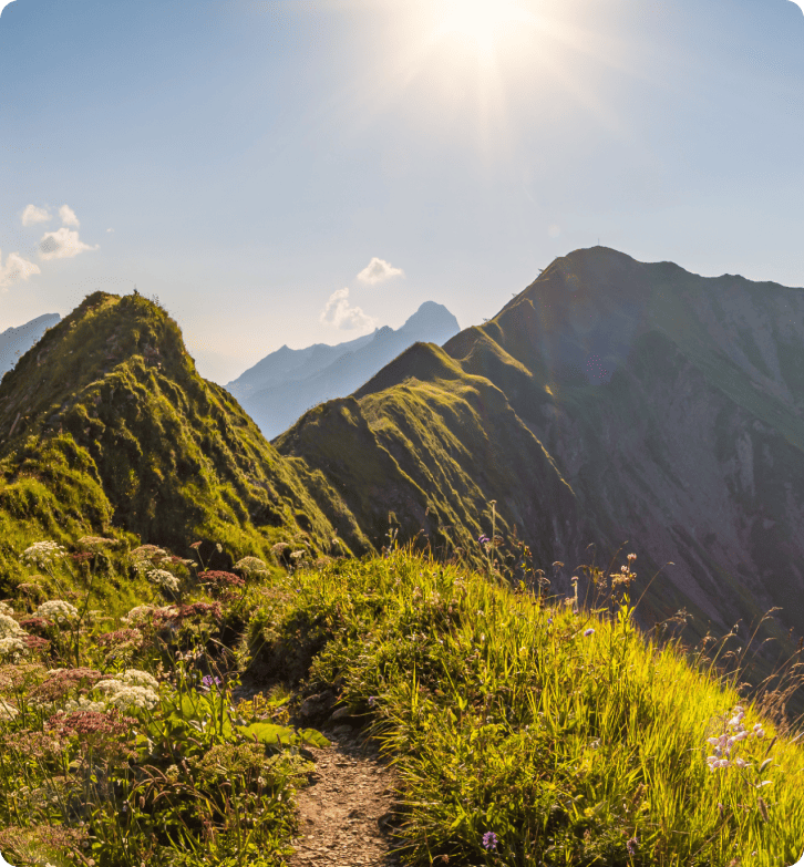 Paano Pinahusay ng ZlavaDna ang Suporta sa Customer gamit ang LiveAgent
