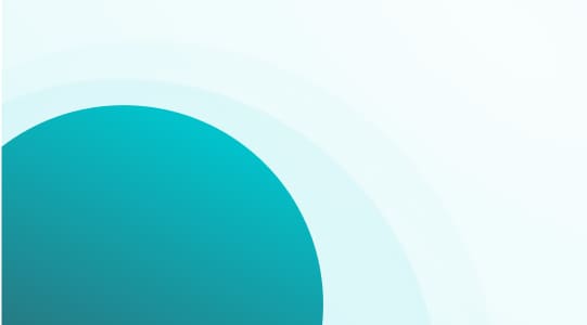 Networking Email Template